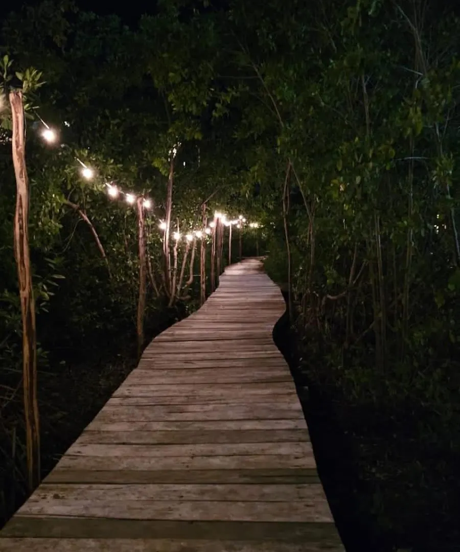 Caiman Habitat Tulum Beach 5*,
