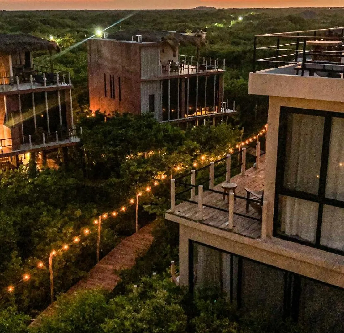 Caiman Habitat Tulum Beach Hotel