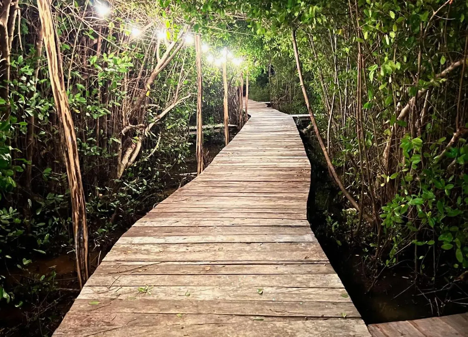 Caiman Habitat Tulum Beach