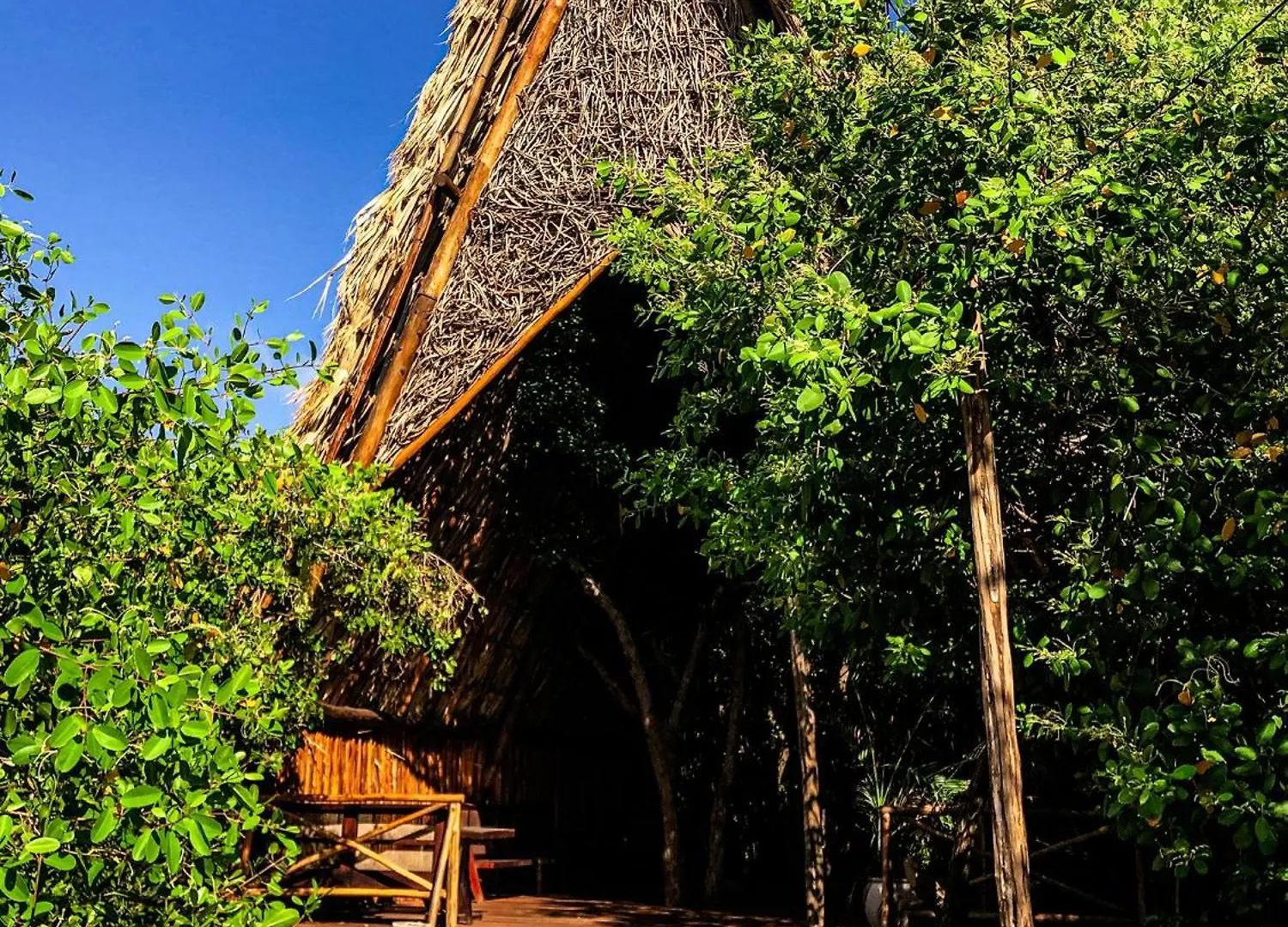 Hotel Caiman Habitat Tulum Beach