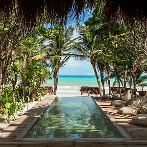 Xela - Member Of Design Tulum